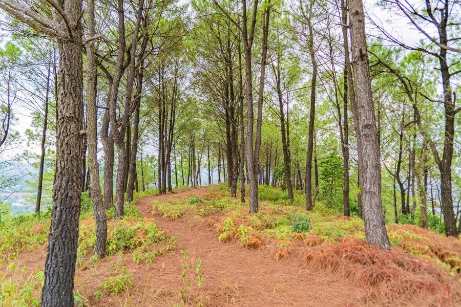 Ngu Binh Mountain- Hue Top Tours
