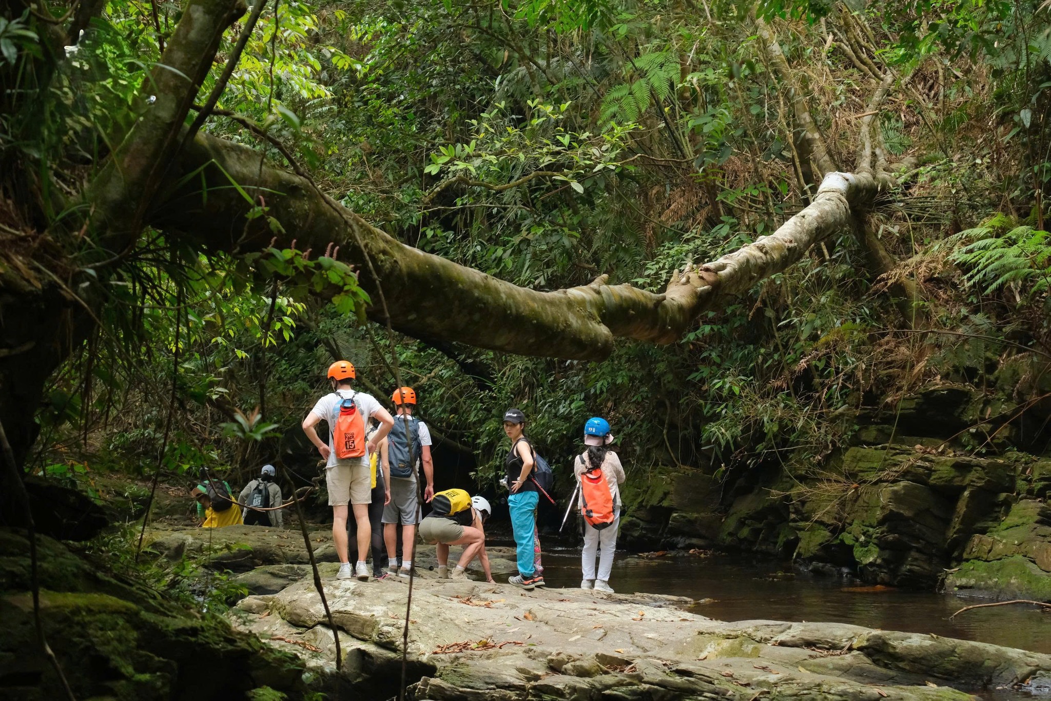 Unusual things to do in Hue- Hue Top Tours