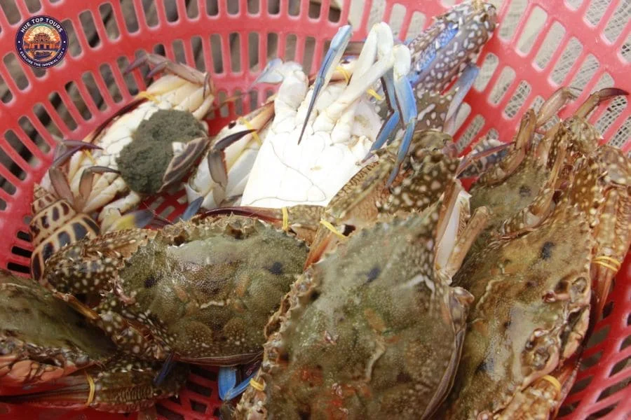 Thuan An Beach Seafood - Hue Top Tours