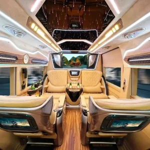 ue To Quy Nhon Limousine - Hue Top Tours