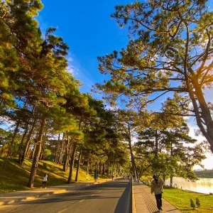 Limousine Hue to Dalat - Hue Top Tours
