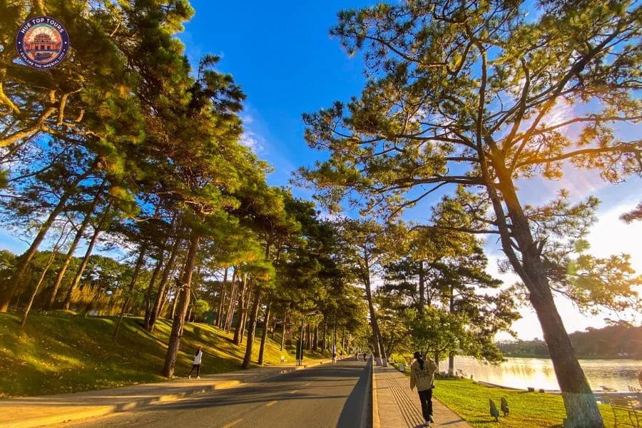 Limousine Hue to Dalat - Hue Top Tours