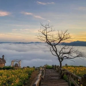 Hue to Dalat private car - Hue Top Tours