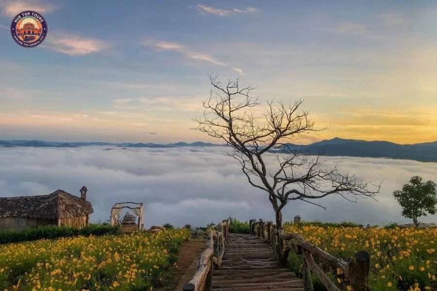 Hue to Dalat private car - Hue Top Tours